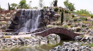 باغ گیاه‌شناسی