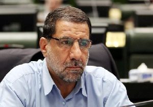 نائب الزیاره