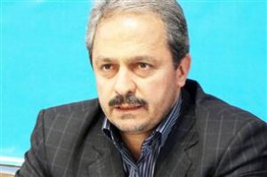 زائر شهر رضوی